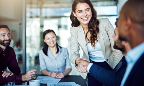 Sales Executive