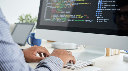 vacante-developer