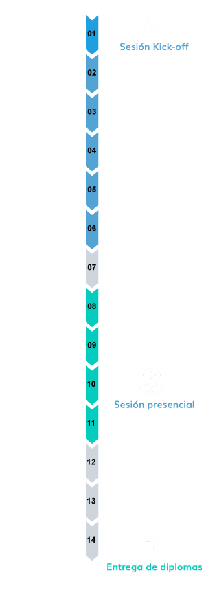 esquema-final-vertical esquema-final-vertical