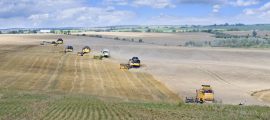 Success story: Cloud-based SAP for the agri-food sector